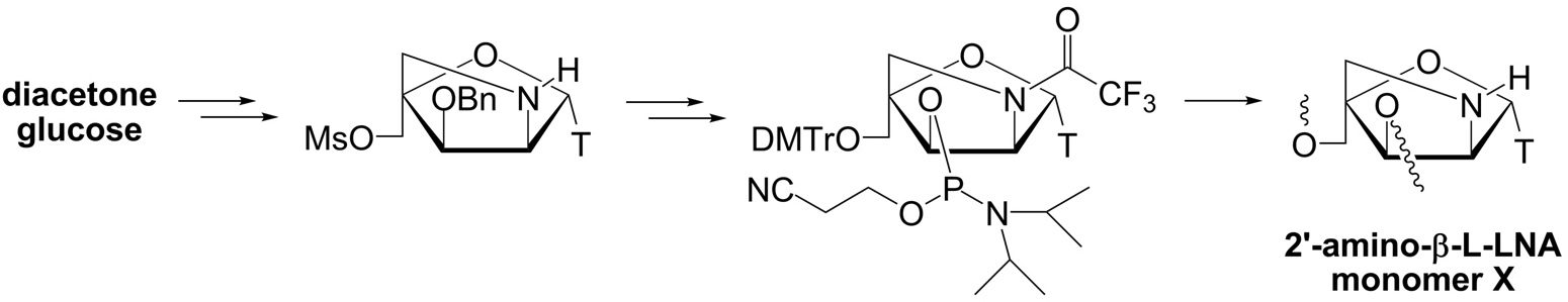 2009 BMCL beta-L